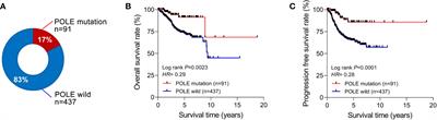 Immune signatures of the POLE mutation in endometrial carcinomas: a systematic study based on TCGA data and clinical cohort validation